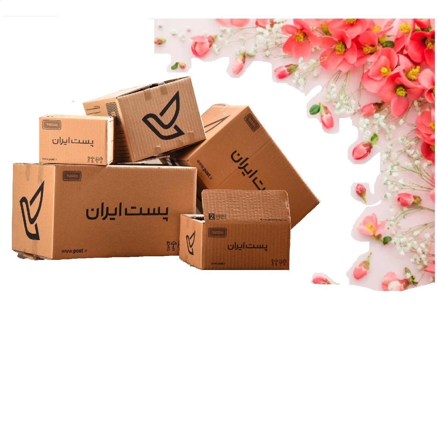 کارتن پستی